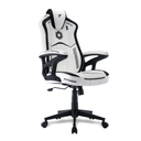 TTRacing Duo V4 Hybrid Leatherette Gaming Chair - Stormtrooper Edition (TTRDUOV4STWRST)