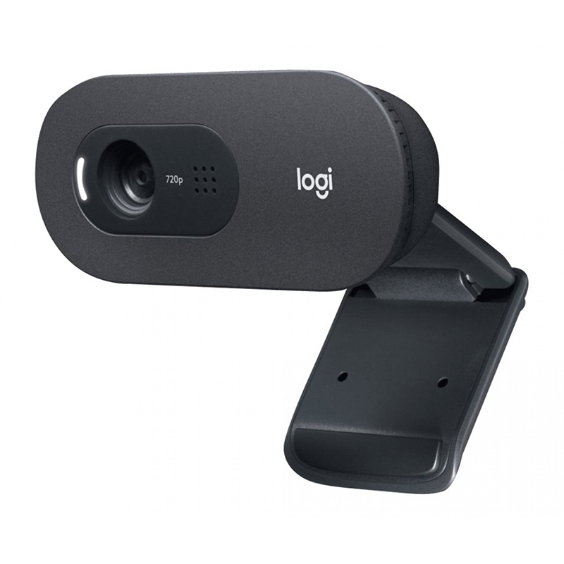 Logitech C505 HD Webcam with Long Range Microphone (960-001370)