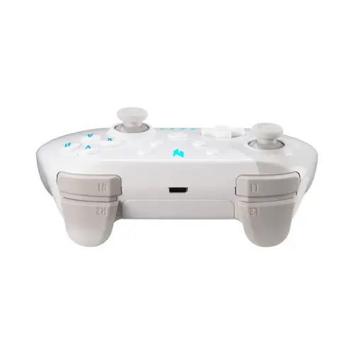 Acer Nitro Wireless Gaming Controller - NGR300