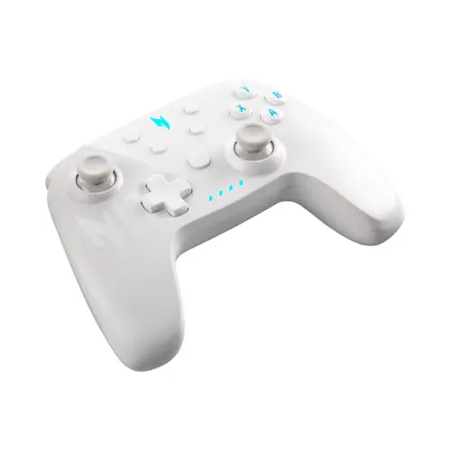 Acer Nitro Wireless Gaming Controller - NGR300