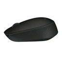 Logitech B170 Wireless Mouse - Black (910-004659)