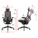 TTRacing AEROFLEX Ergo Gaming Chair - Graphite Black