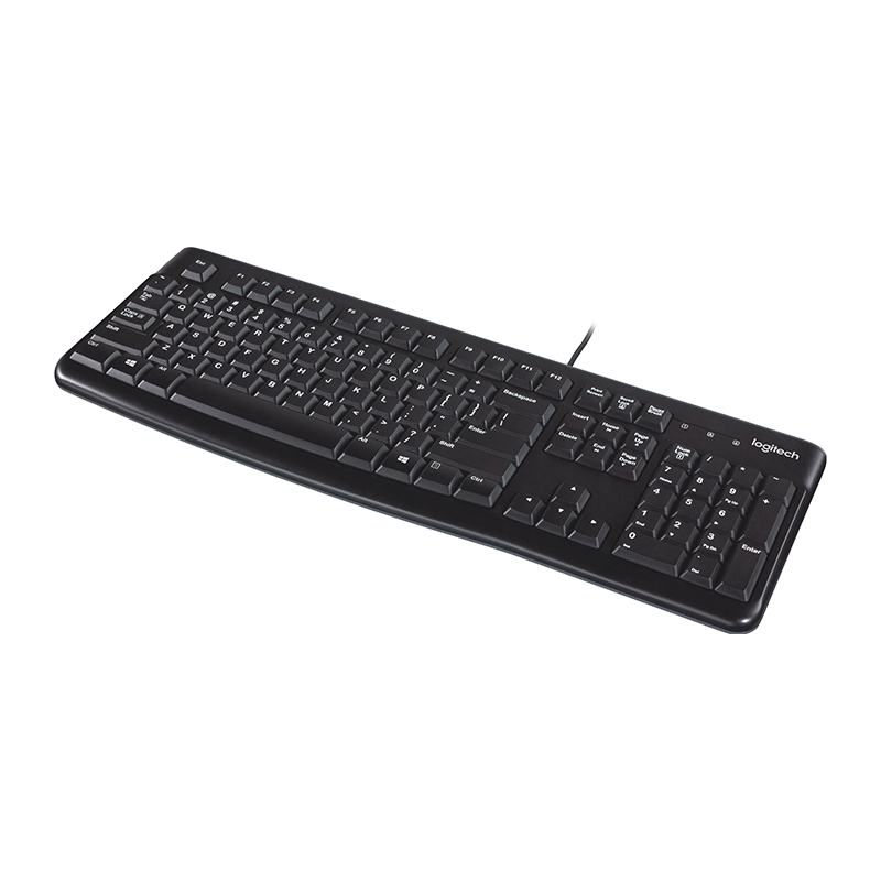 Logitech K120 USB Standard Computer Keyboard (920-002582)