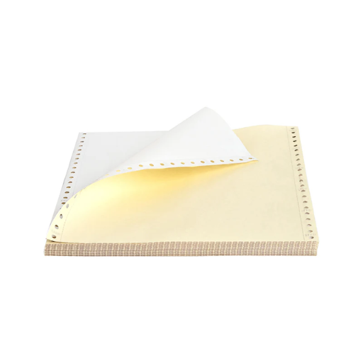 COMPUTER FORM 2PLY 9.5 X 11" (500 FANS)