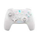 Acer Nitro Wireless Gaming Controller