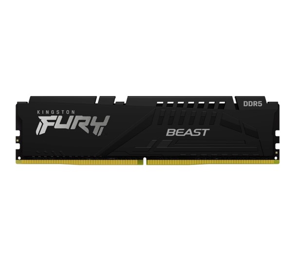 Kingston FURY Beast 16GB 5600MT/s DDR5 CL40 Single Module Desktop RAM (KF556C40BB-16WP)