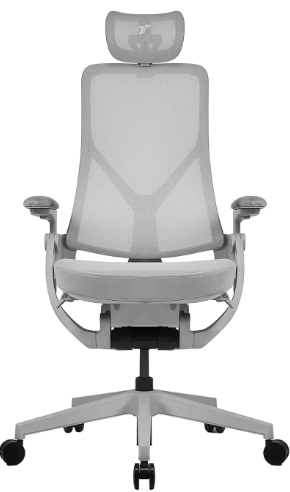 TTRacing AEROFLEX Ergo Gaming Chair - Ashy Grey