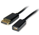 25cm Thunderbolt Mini DisplayPort Female To DP Male Adapter