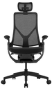 TTRacing AEROFLEX Ergo Gaming Chair - Graphite Black